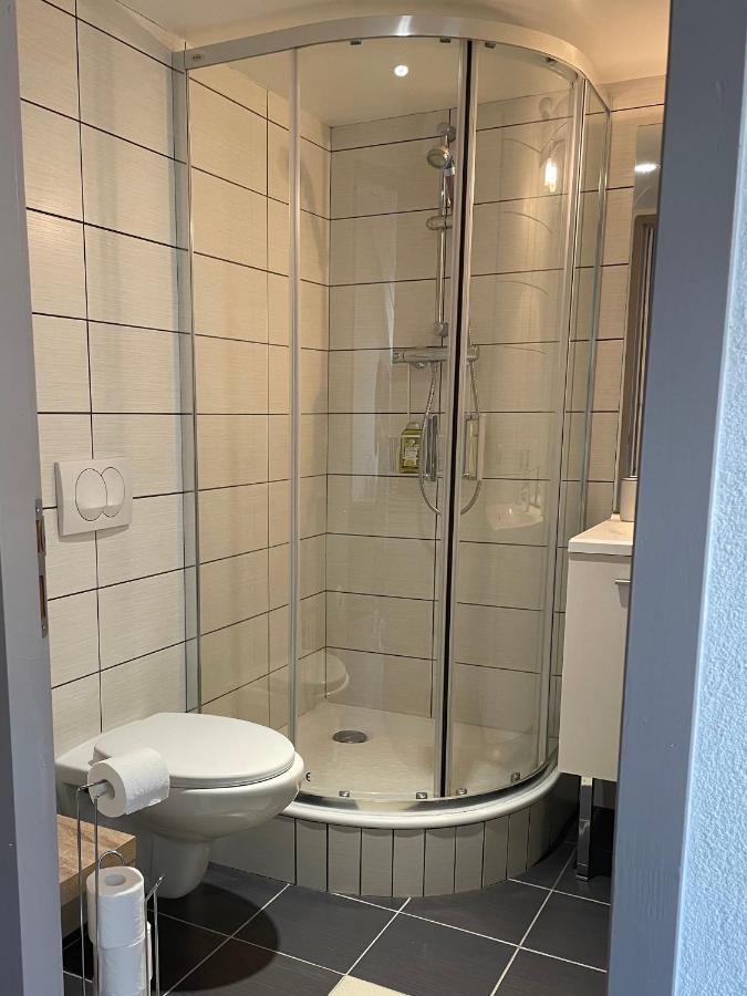 Studio Sous Les Toits Annecy Centre-Ville Экстерьер фото